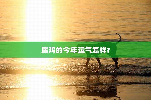 属鸡的今年运气怎样?