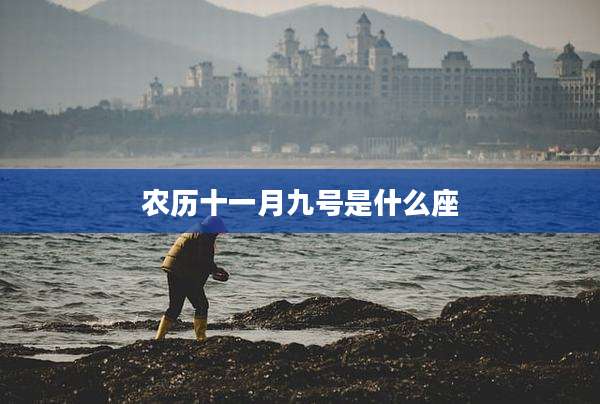 农历十一月九号是什么座