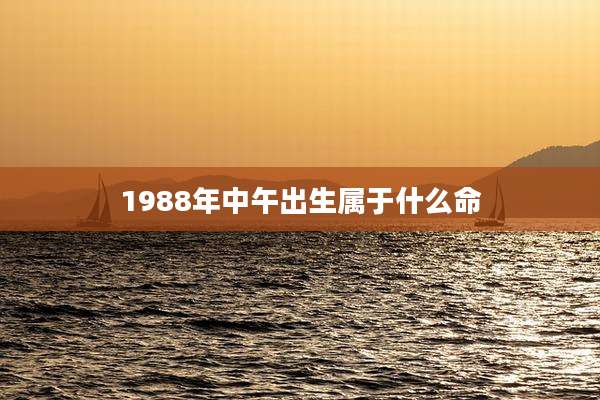1988年中午出生属于什么命
