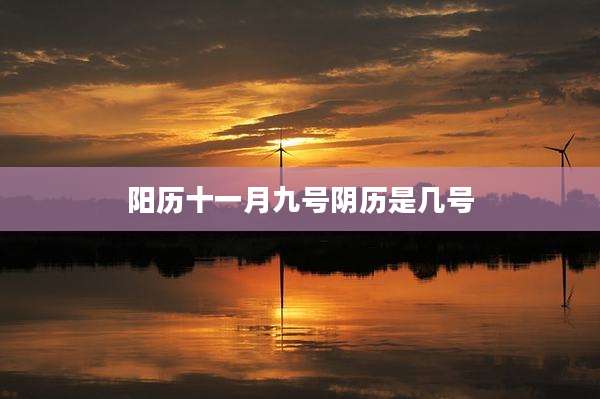 阳历十一月九号阴历是几号