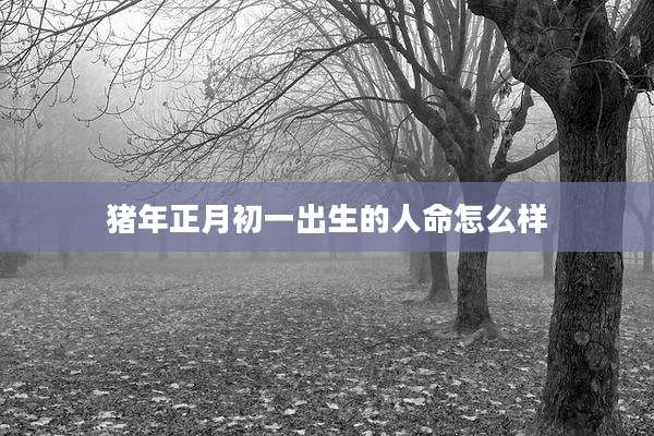 猪年正月初一出生的人命怎么样