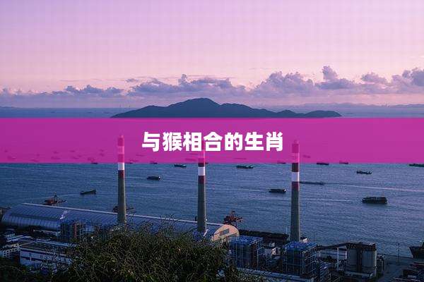 与猴相合的生肖