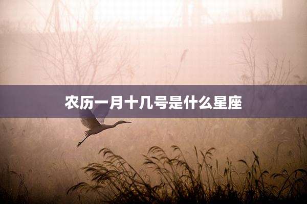 农历一月十几号是什么星座