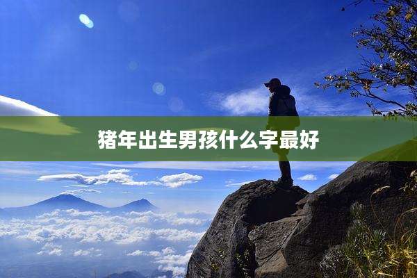 猪年出生男孩什么字最好