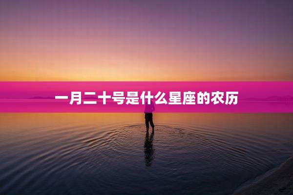 一月二十号是什么星座的农历