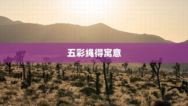 五彩绳得寓意