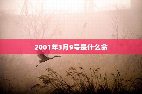 2001年3月9号是什么命