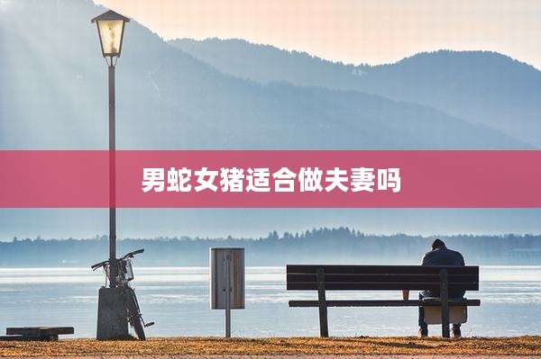 男蛇女猪适合做夫妻吗
