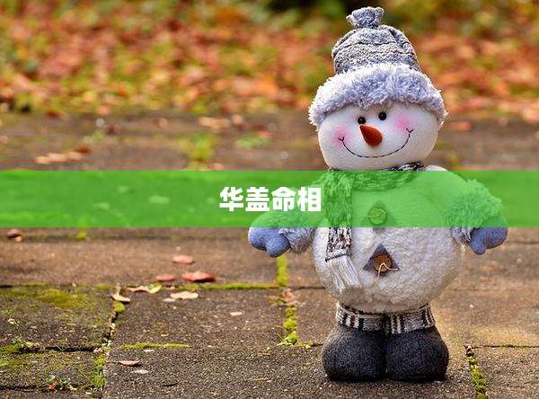华盖命相