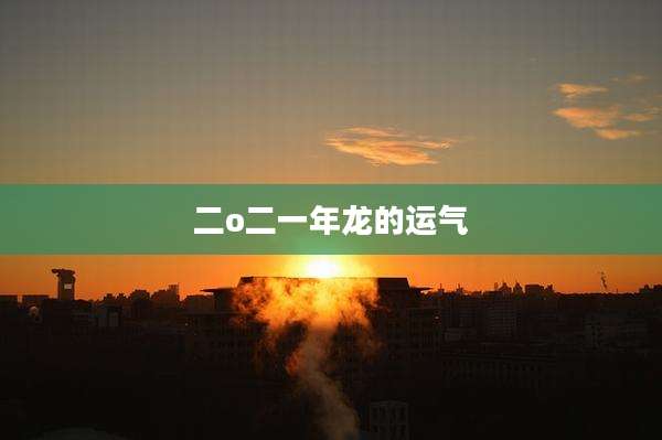 二o二一年龙的运气