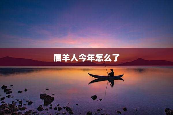 属羊人今年怎么了