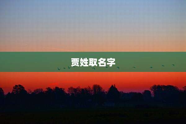 贾姓取名字