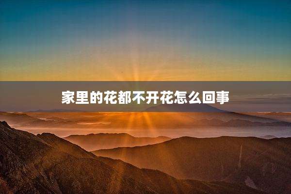 家里的花都不开花怎么回事