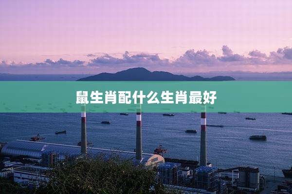鼠生肖配什么生肖最好