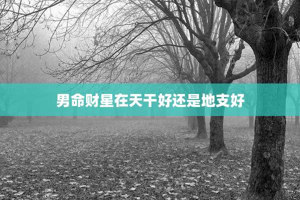 男命财星在天干好还是地支好