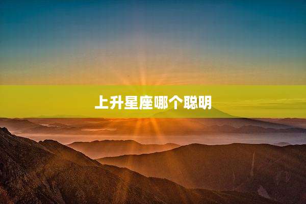 上升星座哪个聪明