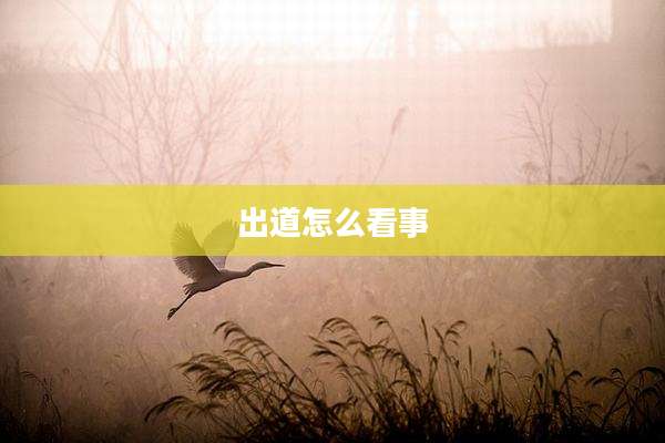 出道怎么看事