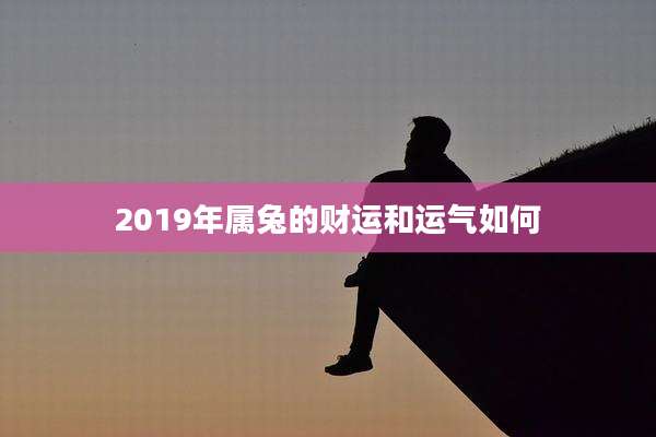2019年属兔的财运和运气如何