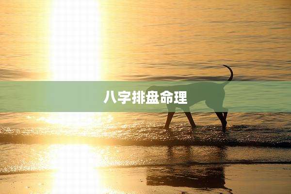 八字排盘命理