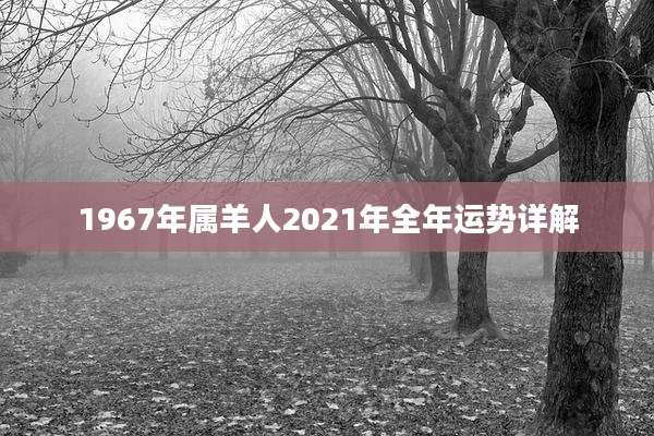 1967年属羊人2021年全年运势详解