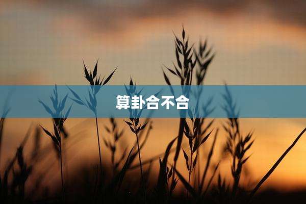算卦合不合