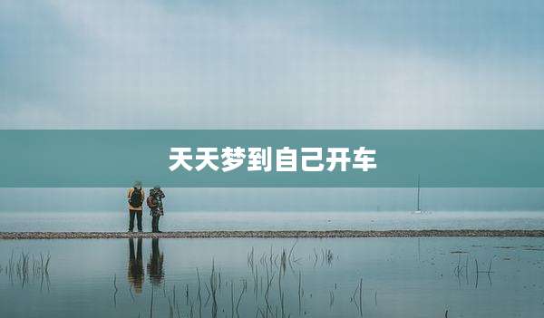 天天梦到自己开车