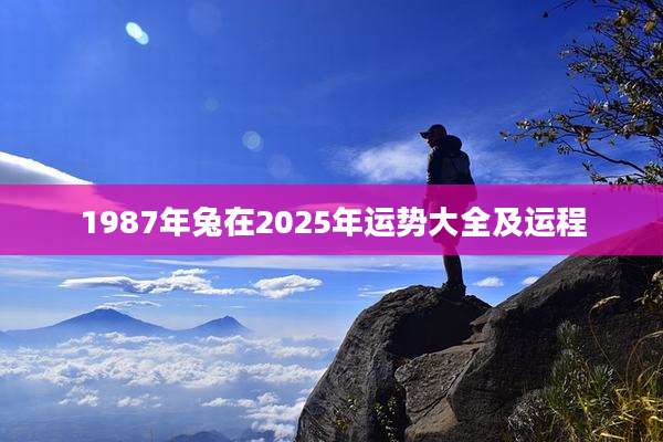 1987年兔在2025年运势大全及运程