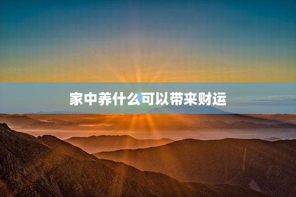 家中养什么可以带来财运