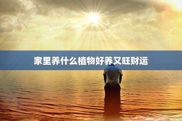 家里养什么植物好养又旺财运