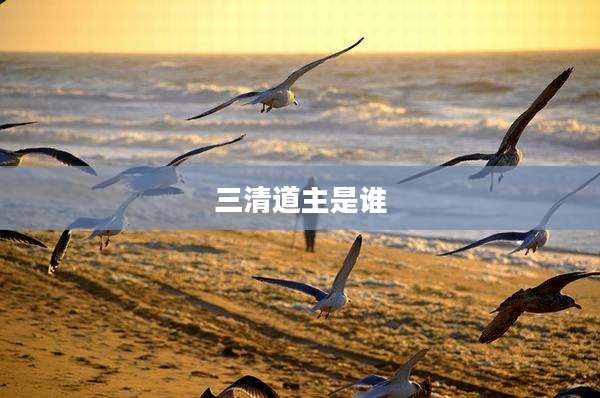 三清道主是谁