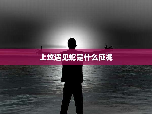 上坟遇见蛇是什么征兆