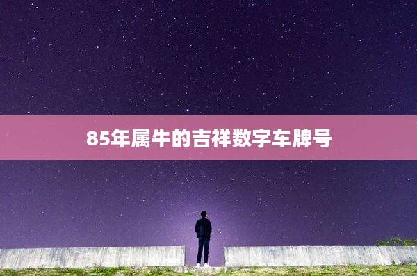 85年属牛的吉祥数字车牌号