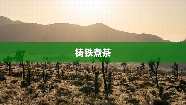 铸铁煮茶