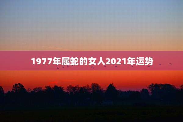 1977年属蛇的女人2021年运势