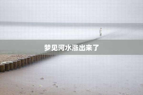 梦见河水涨出来了