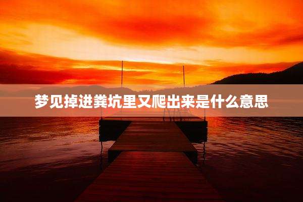 梦见掉进粪坑里又爬出来是什么意思