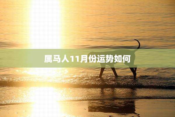 属马人11月份运势如何
