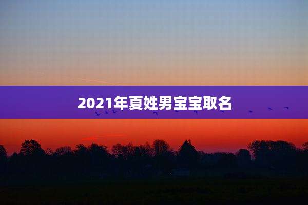 2021年夏姓男宝宝取名