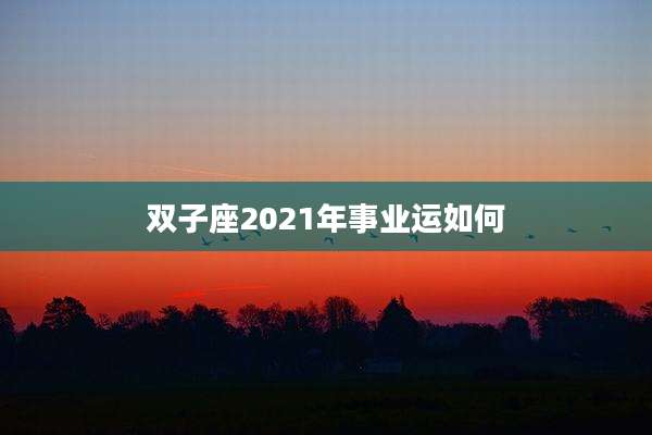 双子座2021年事业运如何