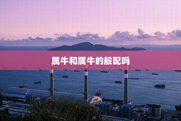 属牛和属牛的般配吗