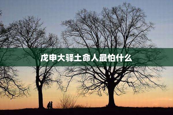 戊申大驿土命人最怕什么
