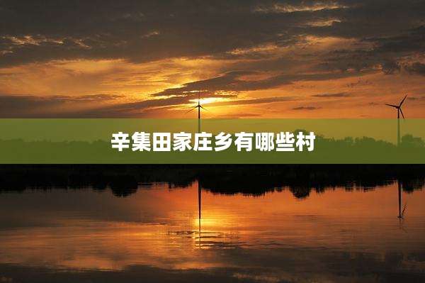 辛集田家庄乡有哪些村