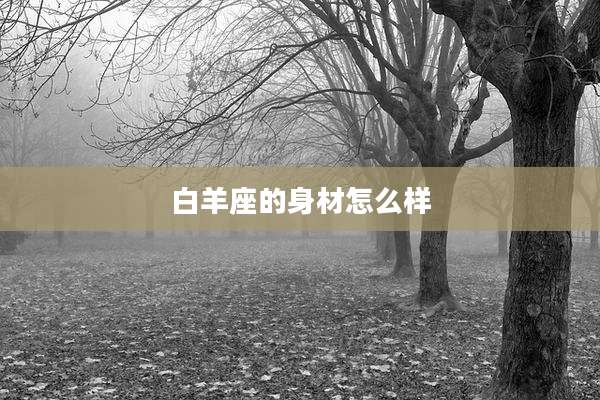 白羊座的身材怎么样