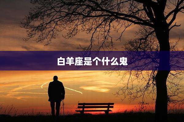 白羊座是个什么鬼