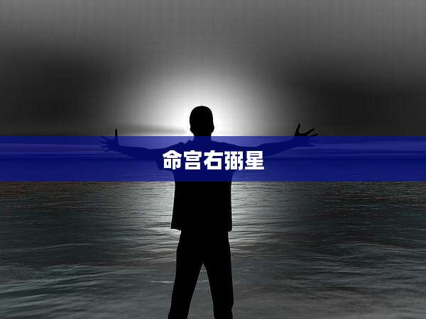 命宫右弼星