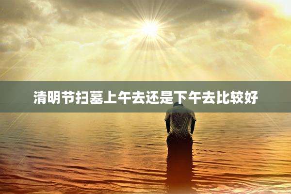 清明节扫墓上午去还是下午去比较好