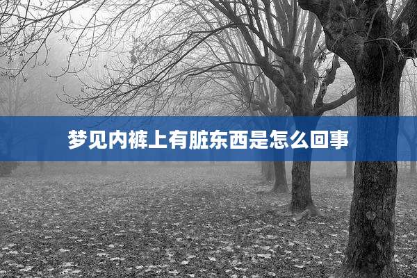 梦见内裤上有脏东西是怎么回事