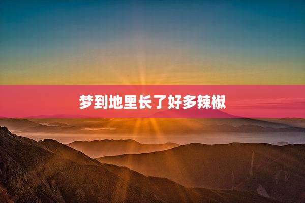 梦到地里长了好多辣椒
