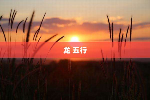 龙 五行