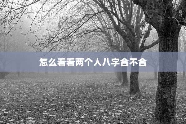 怎么看看两个人八字合不合